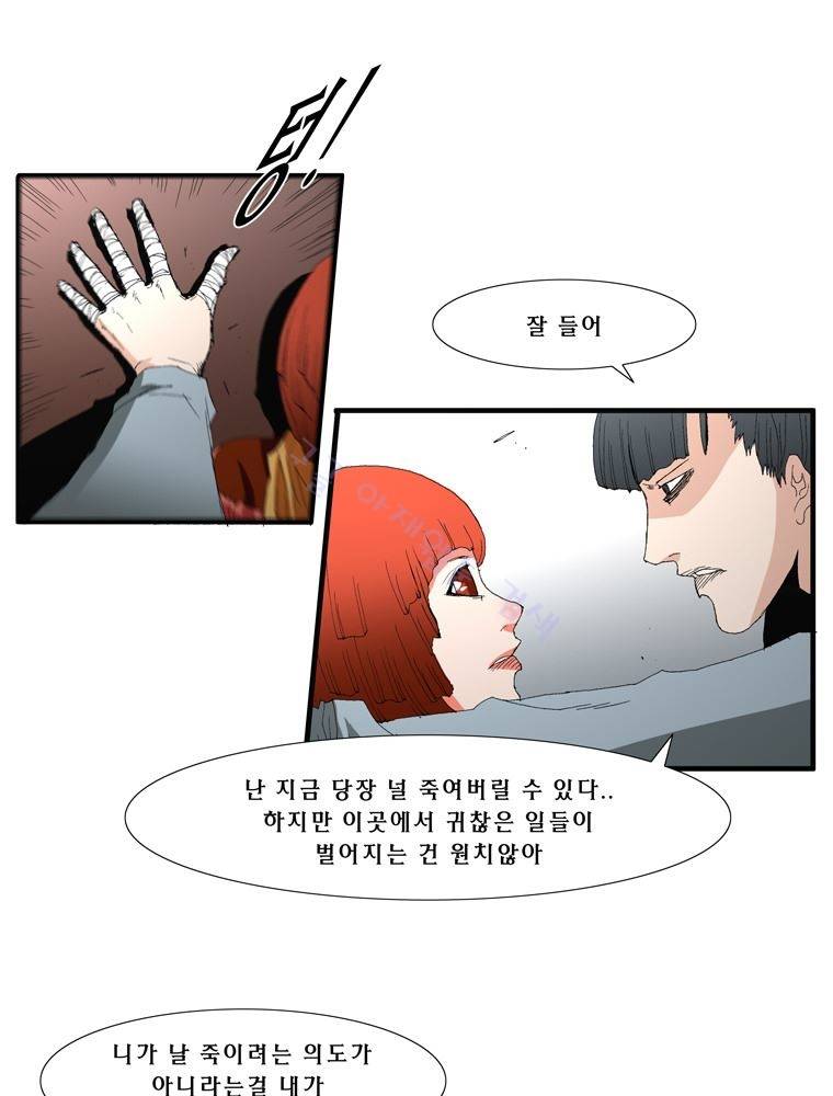 트레이스 장미 8 10