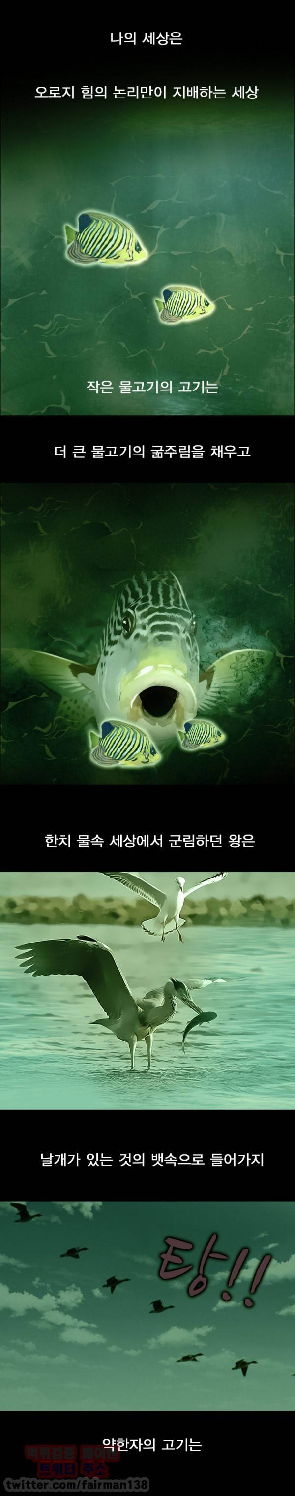 신의 목소리 25화 6