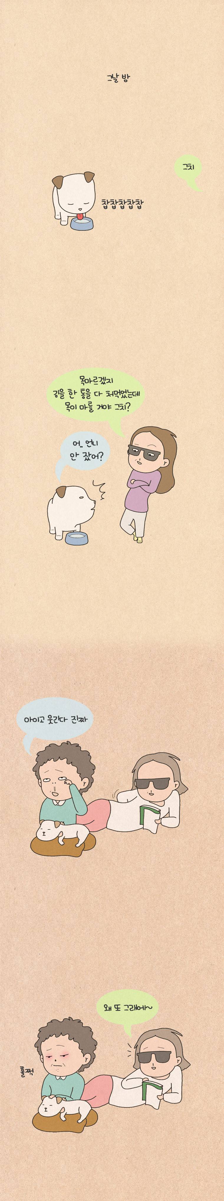 퀴퀴한 일기 43화 - 흰둥이 10