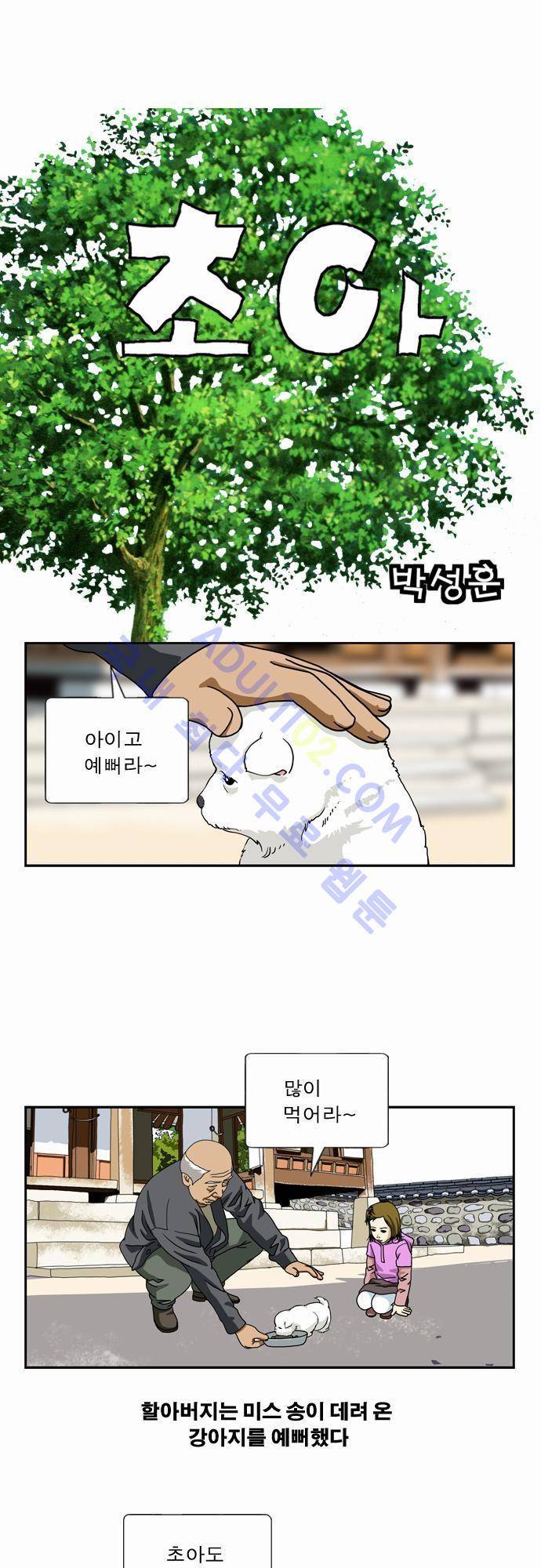 초아 17화 1