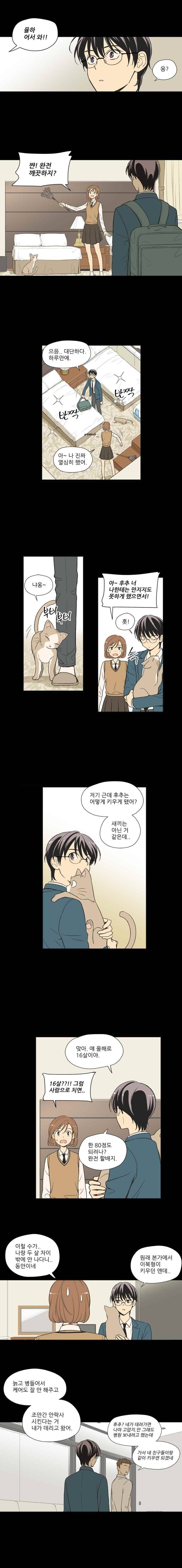 주간소년열애사 61화 5