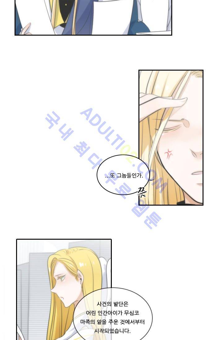 정령왕 엘퀴네스  9화 33
