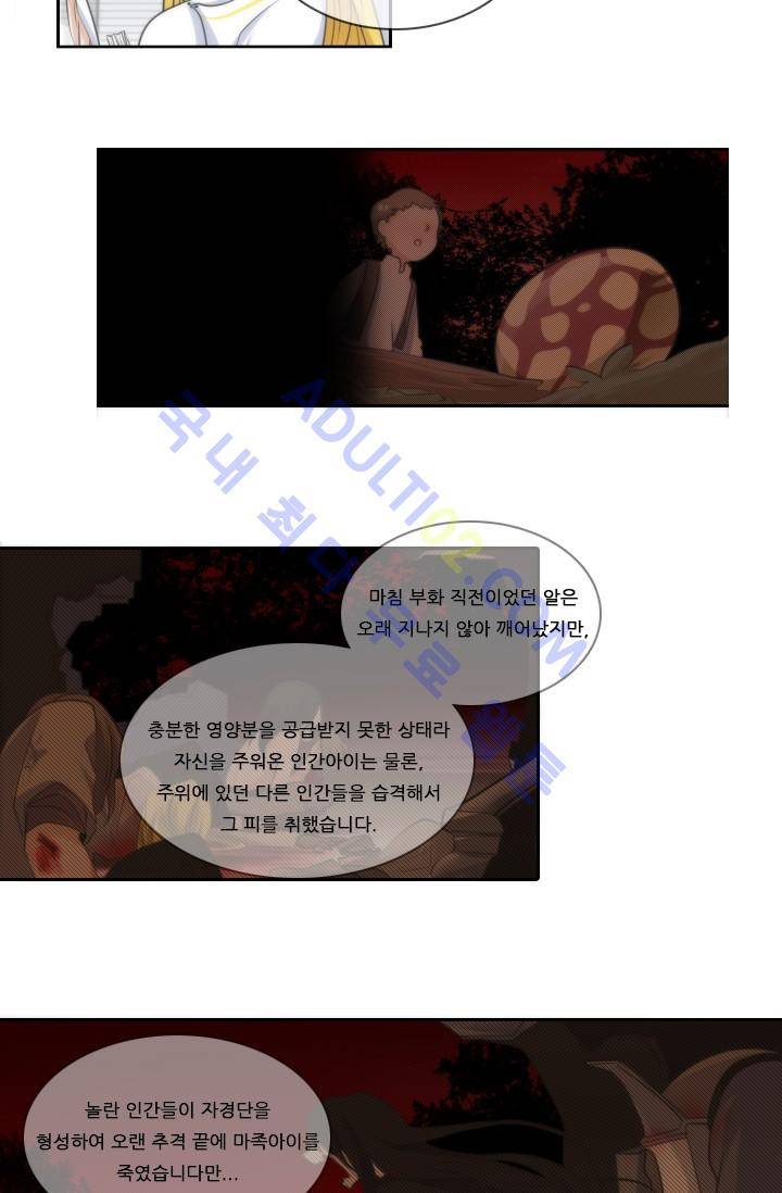 정령왕 엘퀴네스  9화 34
