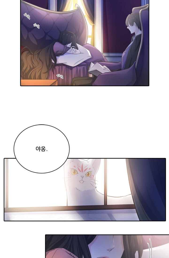 정령왕 엘퀴네스 37화 2