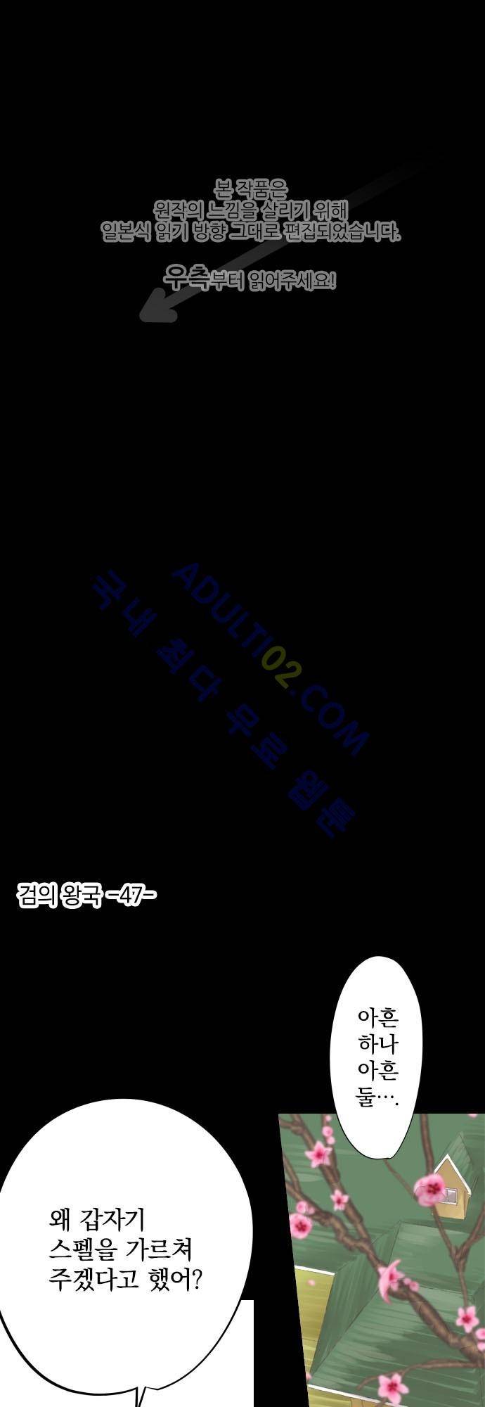검의 왕국 47화 1