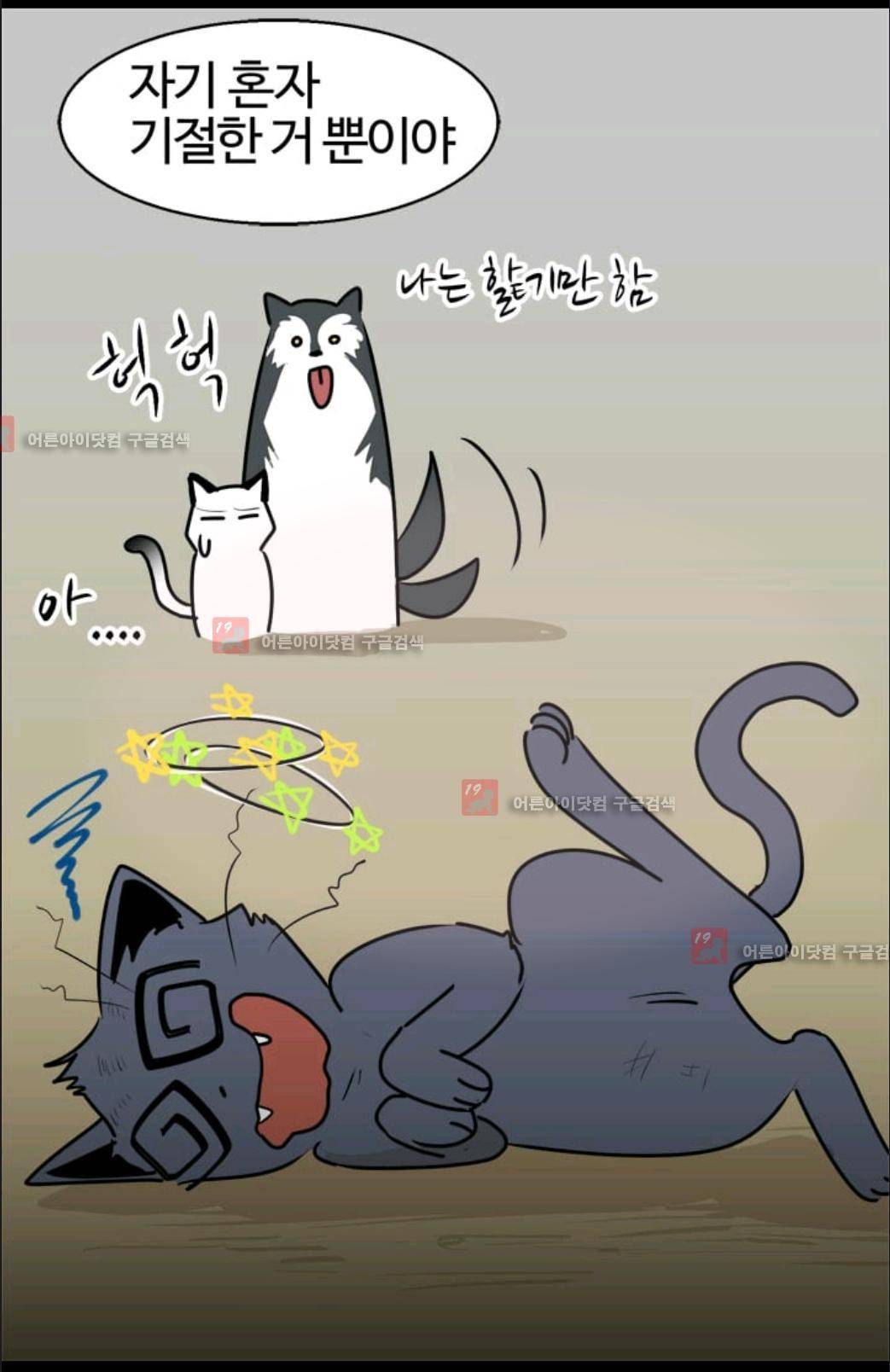 애니멀 아이즈 26화 11