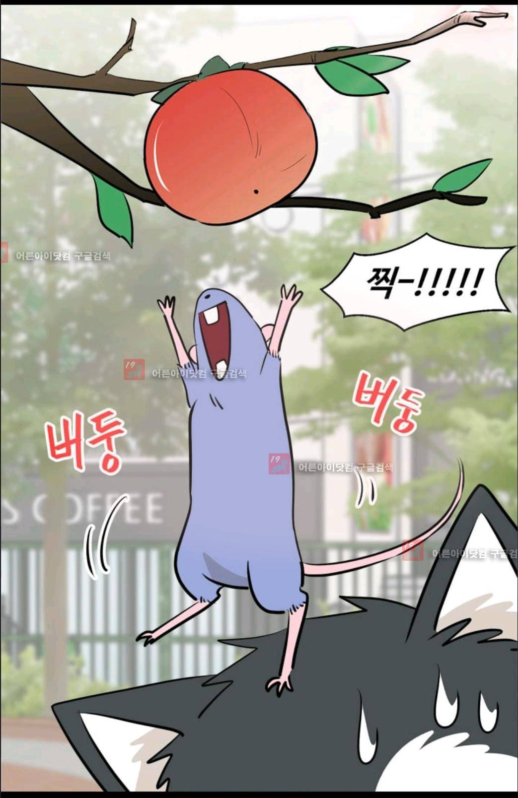 애니멀 아이즈 59화 19