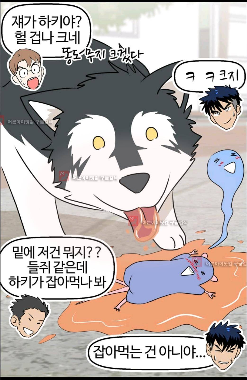 애니멀 아이즈 59화 39