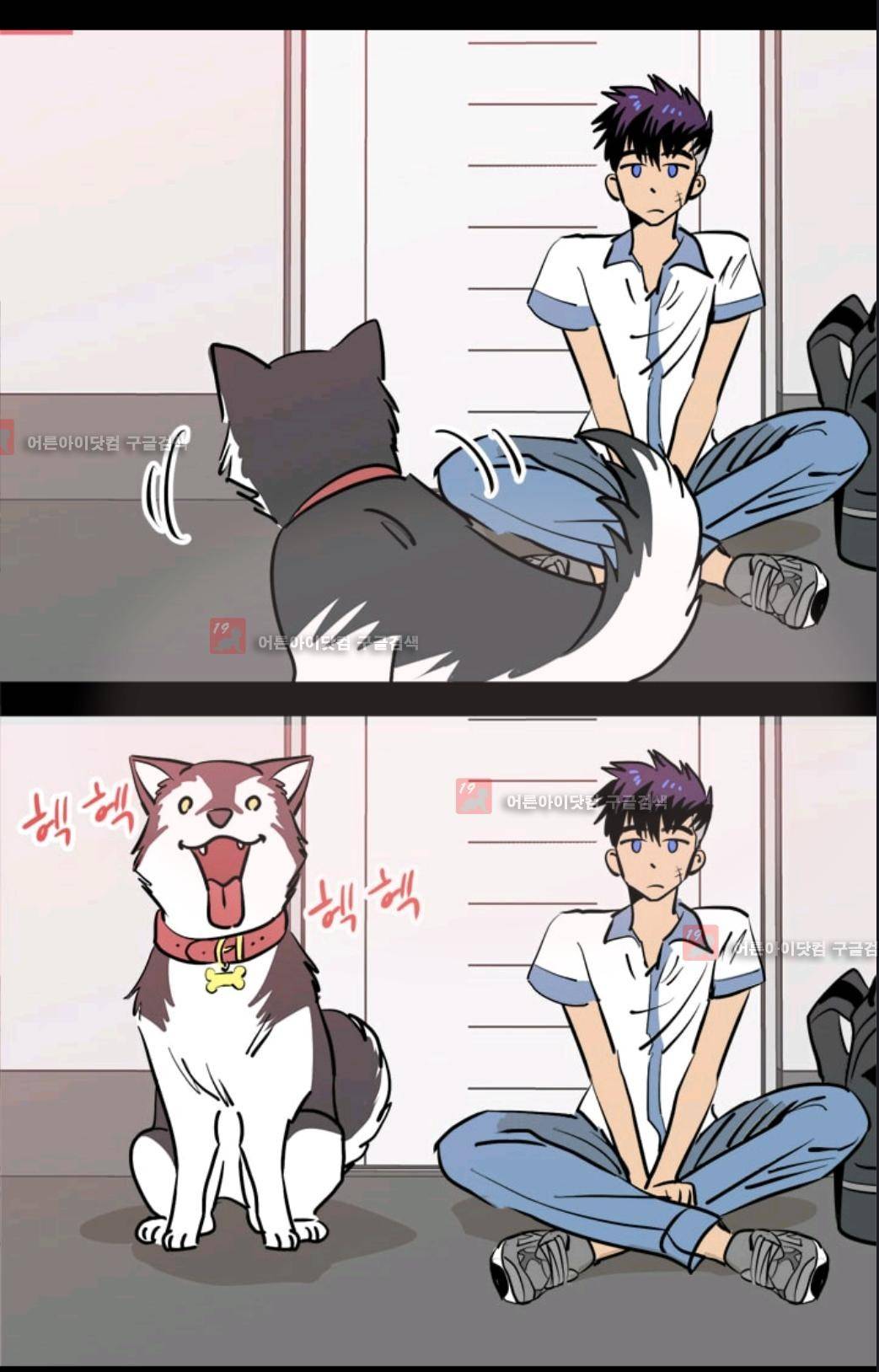 애니멀 아이즈 77화 42