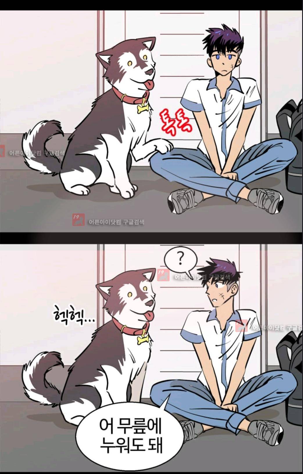 애니멀 아이즈 77화 43