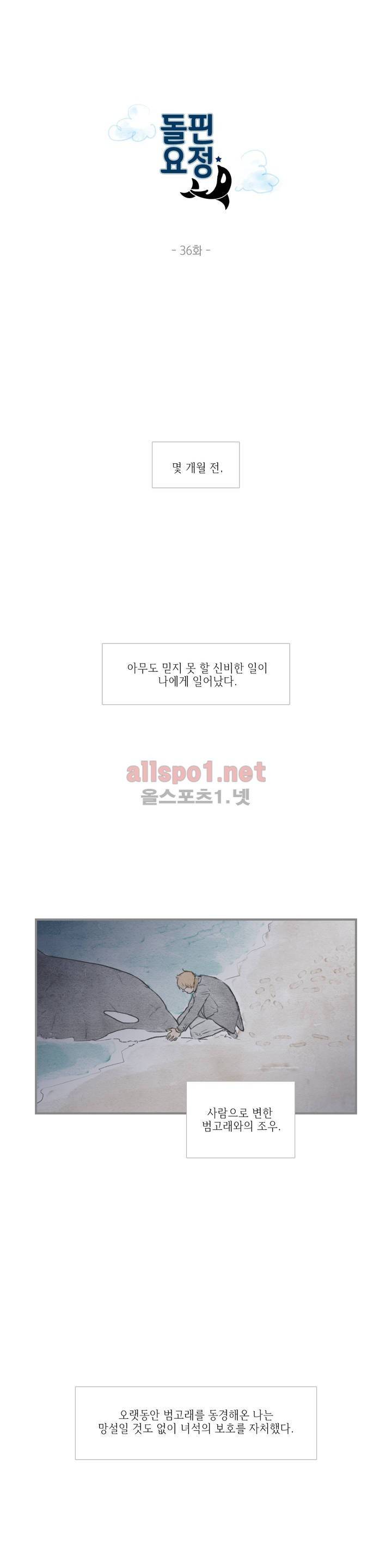 돌핀 요정 36화 1