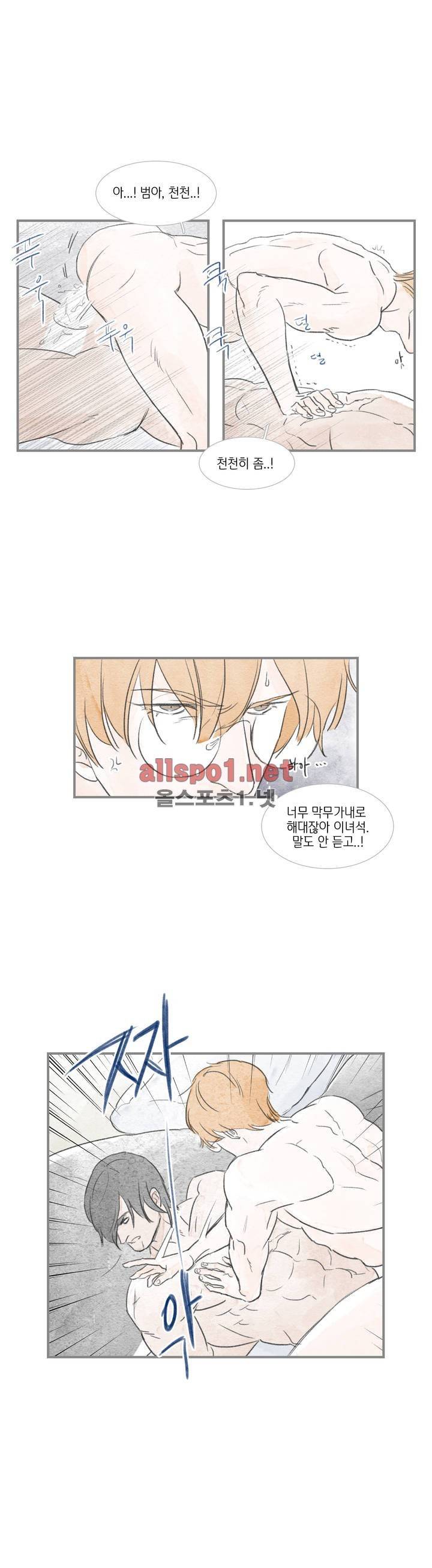 돌핀 요정 42화 2
