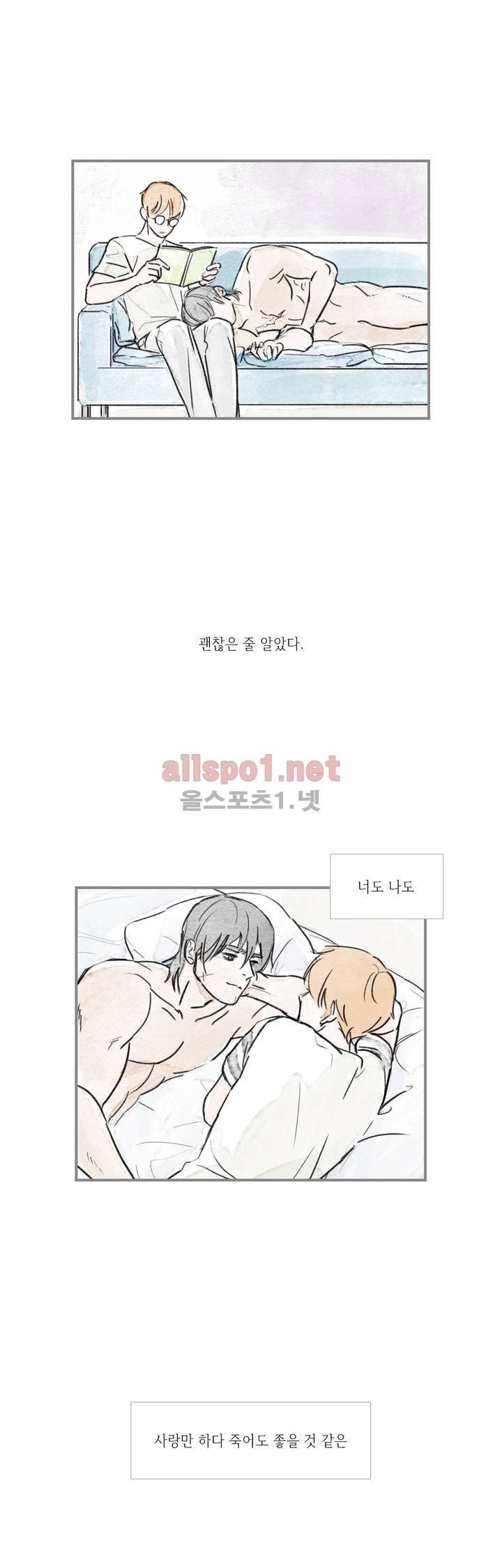 돌핀 요정 63화 2