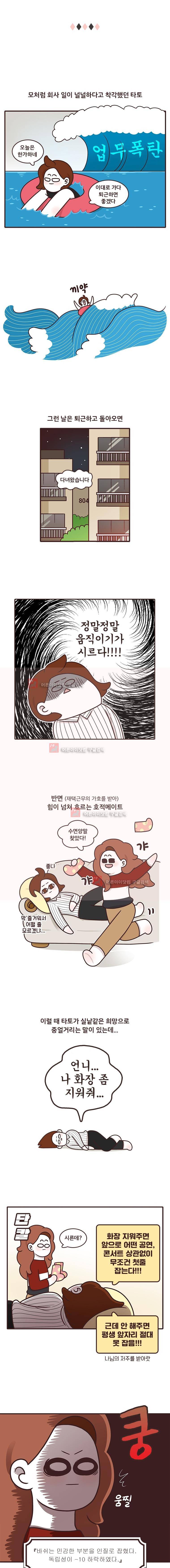 과격자매단 48. 2