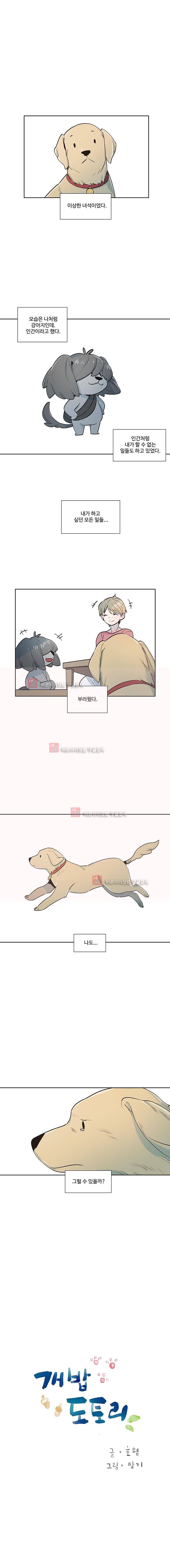 개밥도토리 37화 1