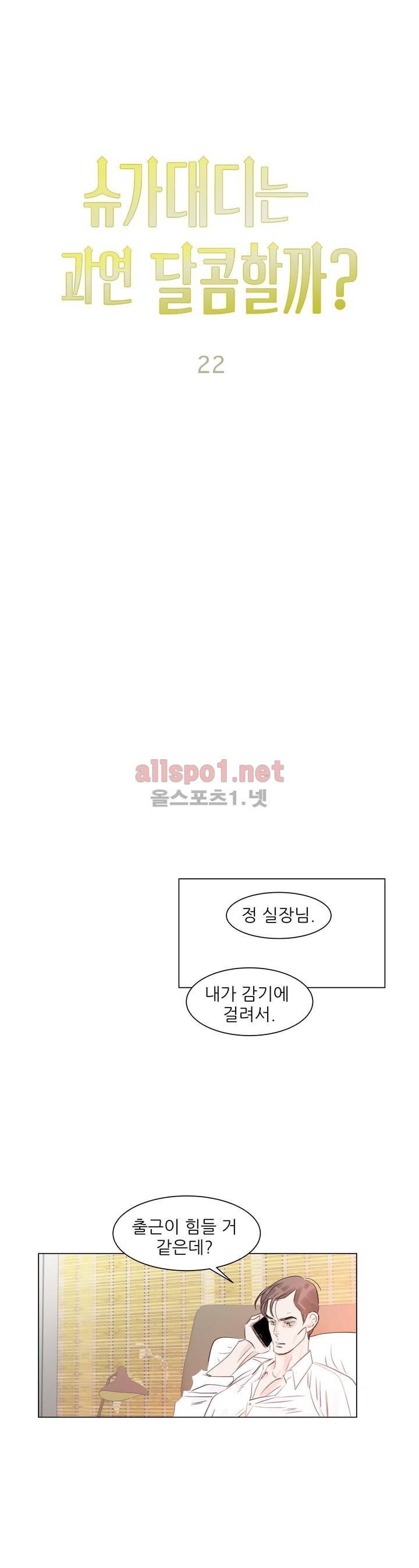 슈가대디는 과연 달콤할까? 22화 13