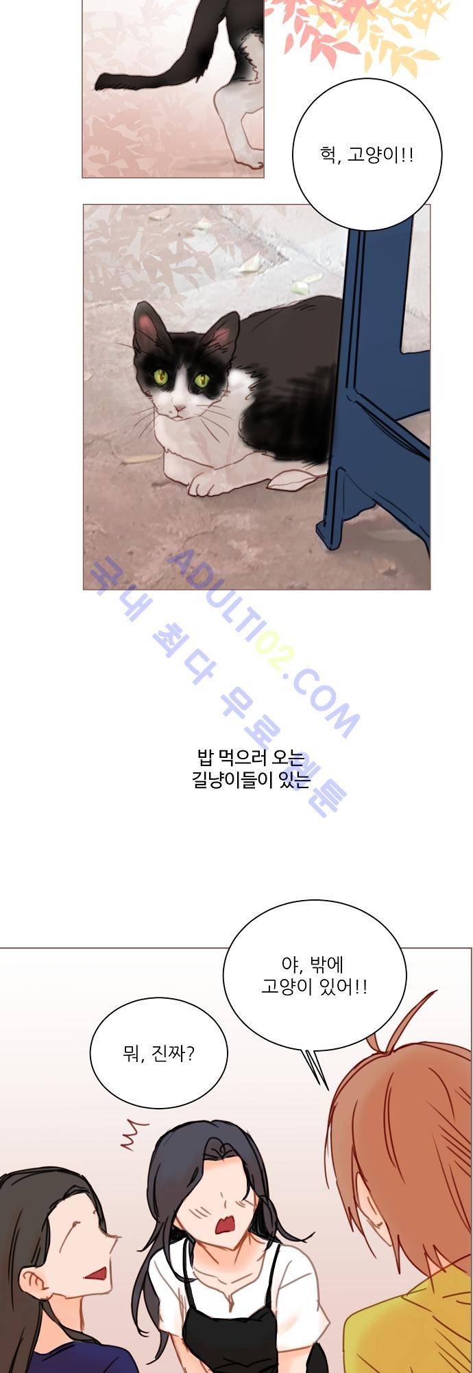 트라우마 스위치 특별편 15
