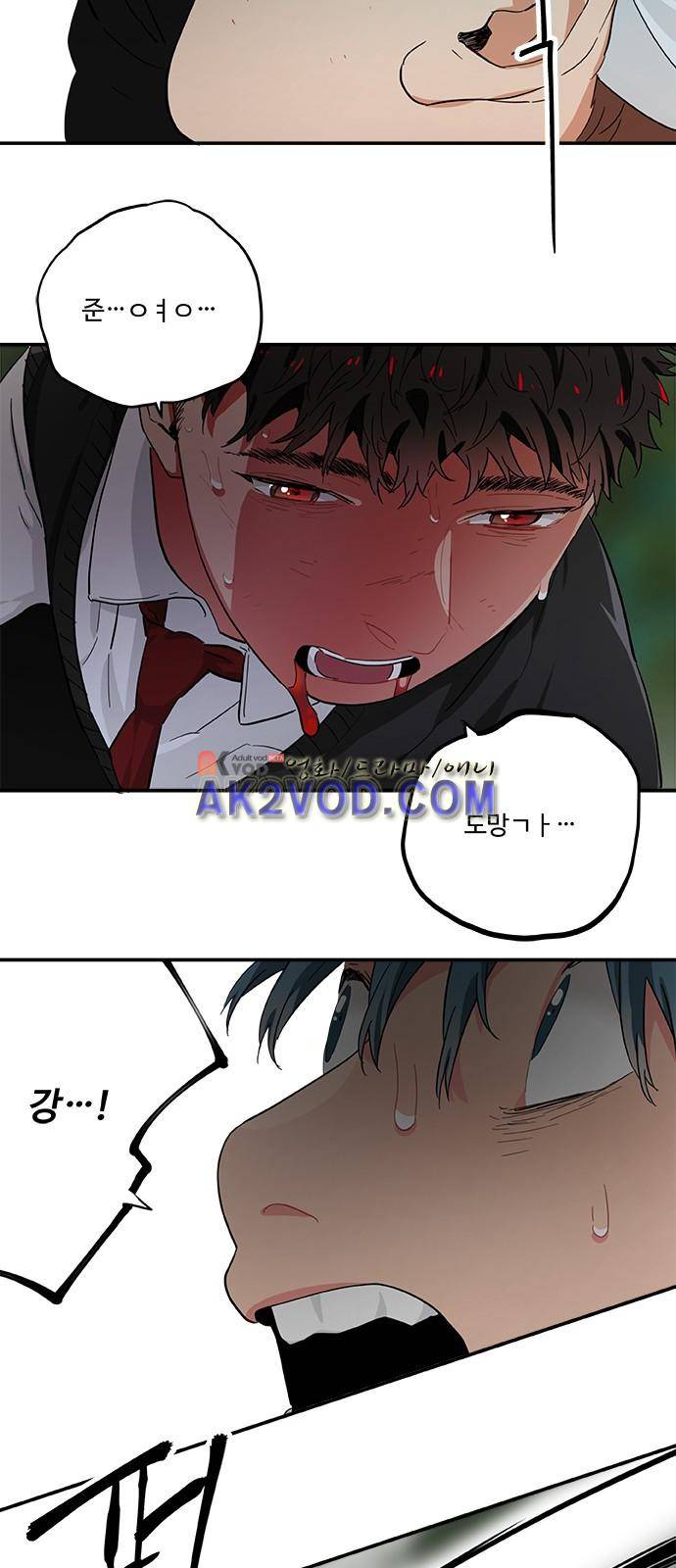 미시령 38화 5