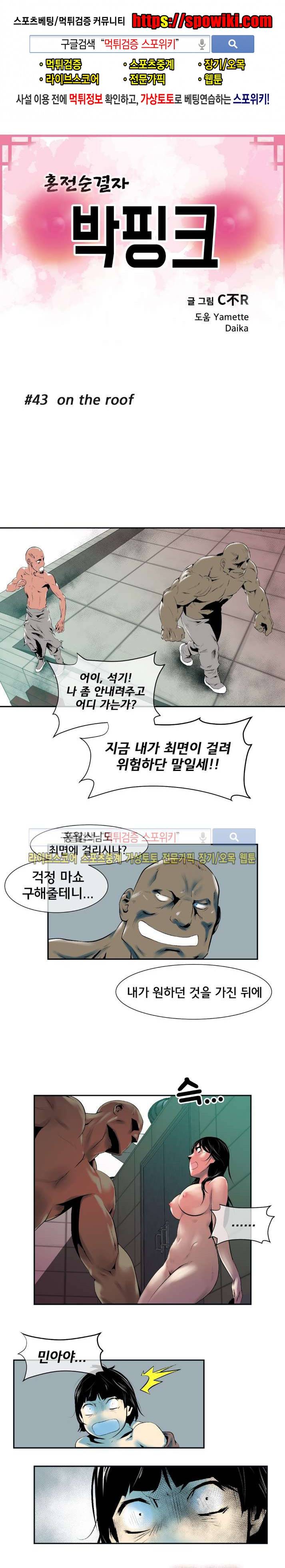 혼전순결자 박핑크 43화 1