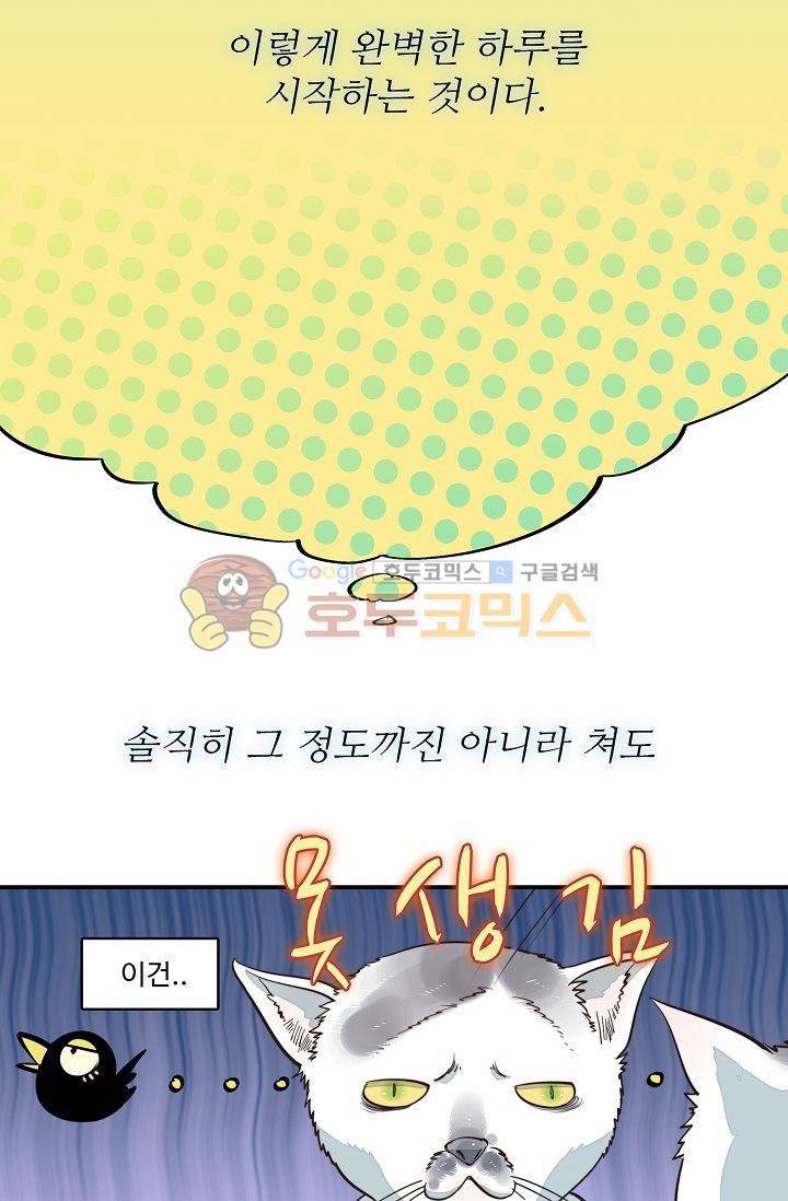 너의 고양이가 되고 싶어 2화 11