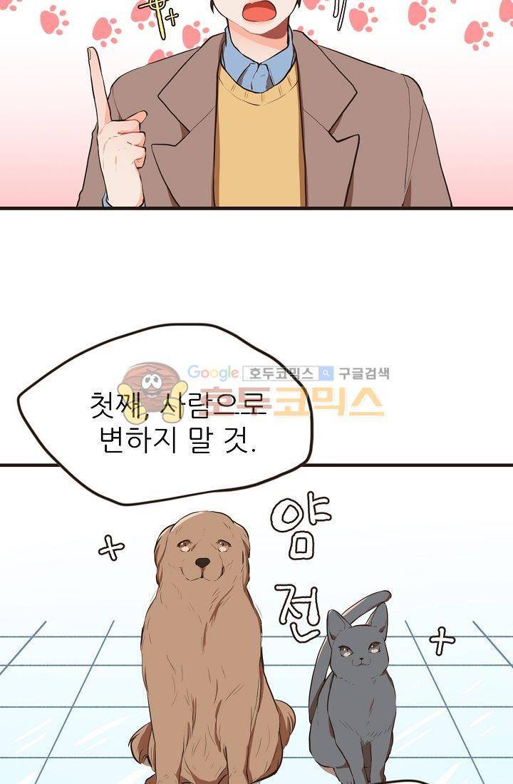 멍멍냥냥 2화 - 본능적으로 34