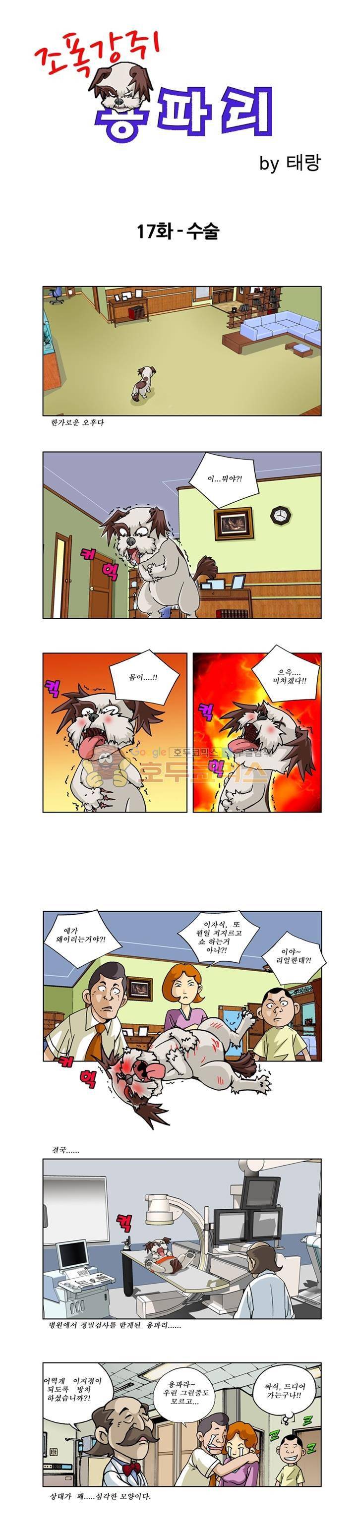 조폭강쥐 용파리 18화 - 수술 1