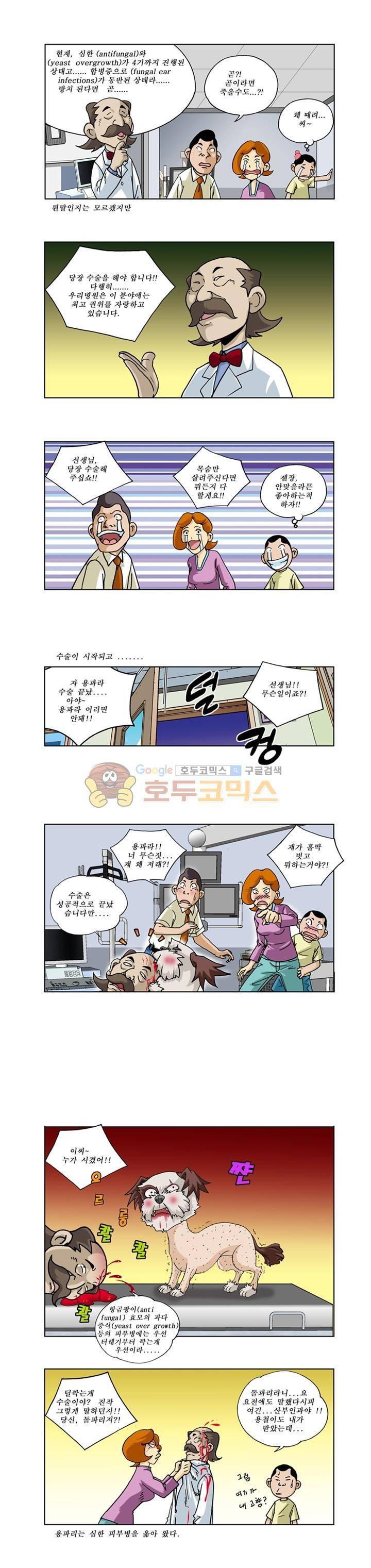 조폭강쥐 용파리 18화 - 수술 2