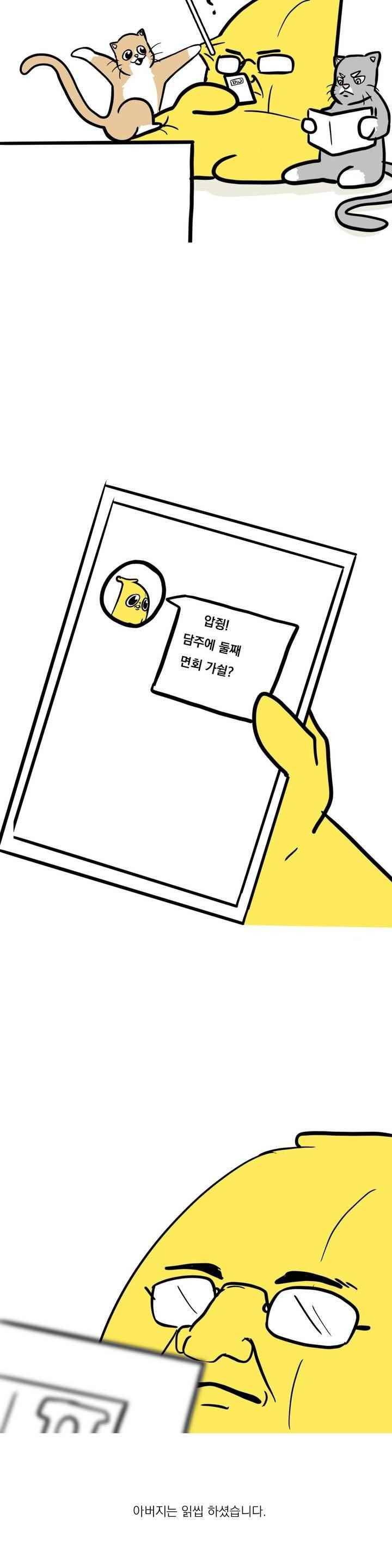 바나나툰 42화 6