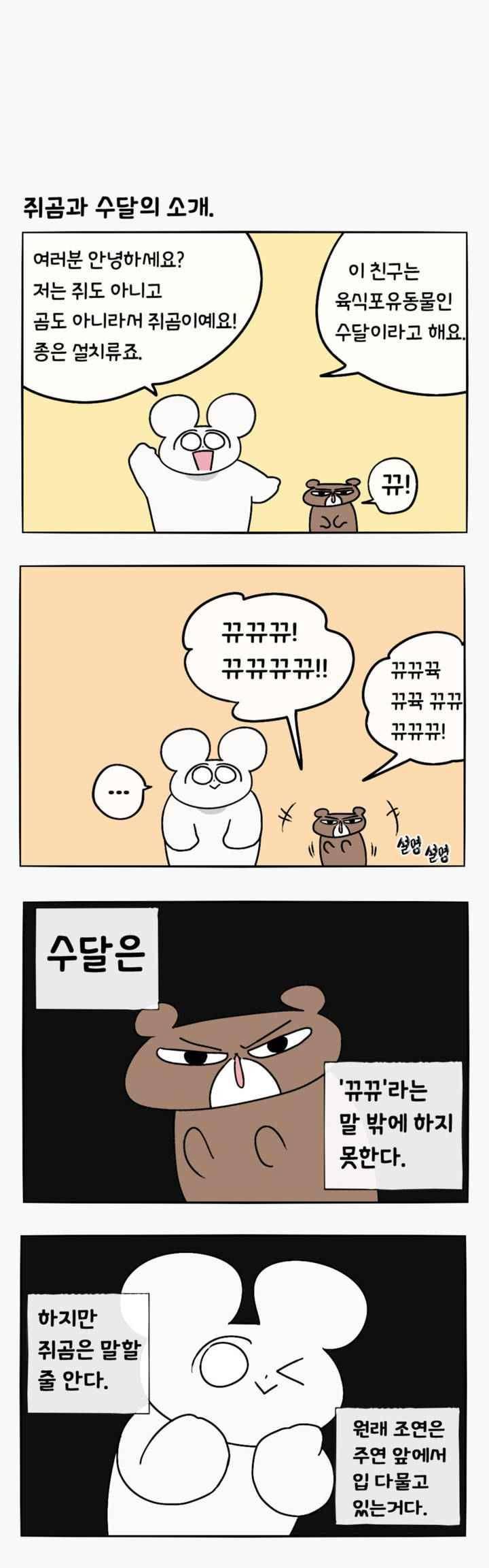 취준진담 81.1화 3