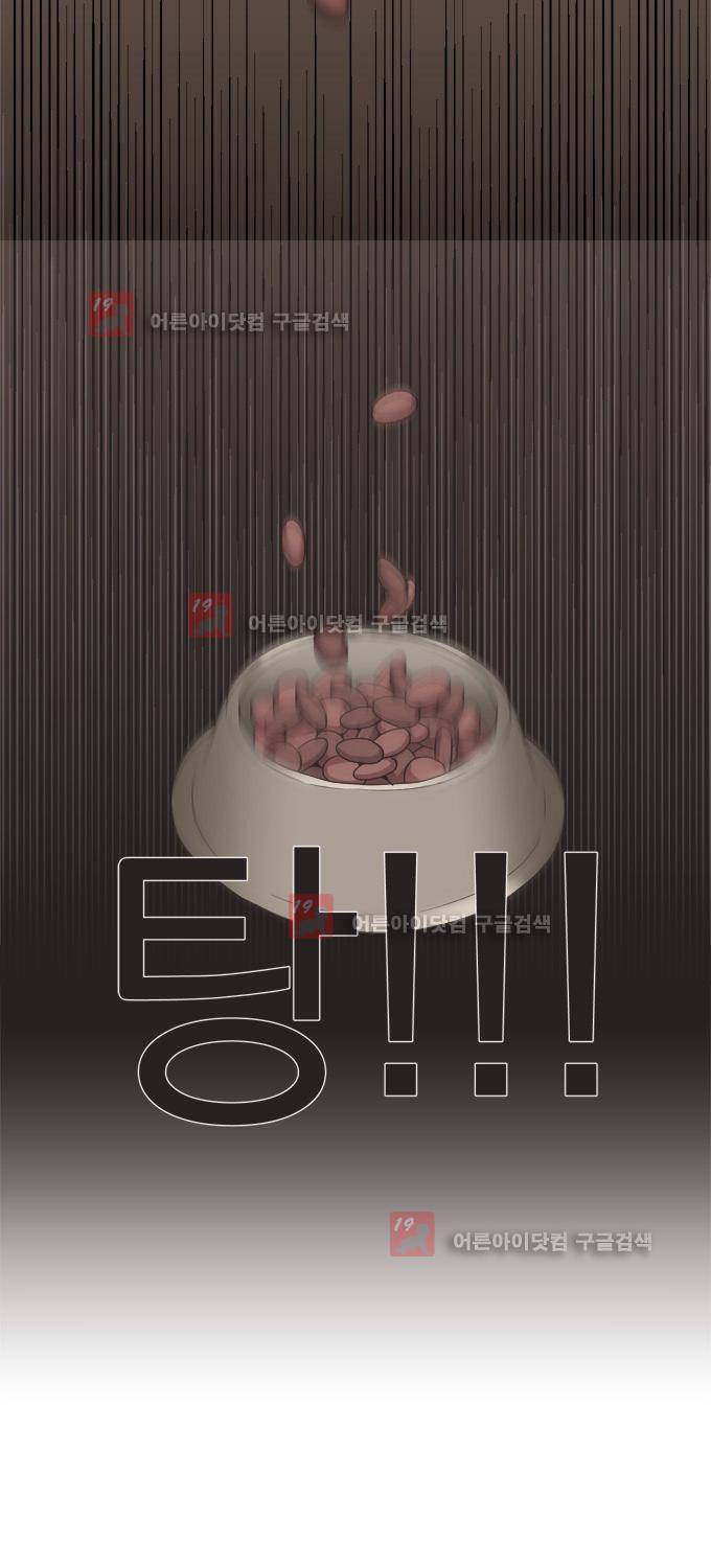 명예소녀의 추락 10화 34