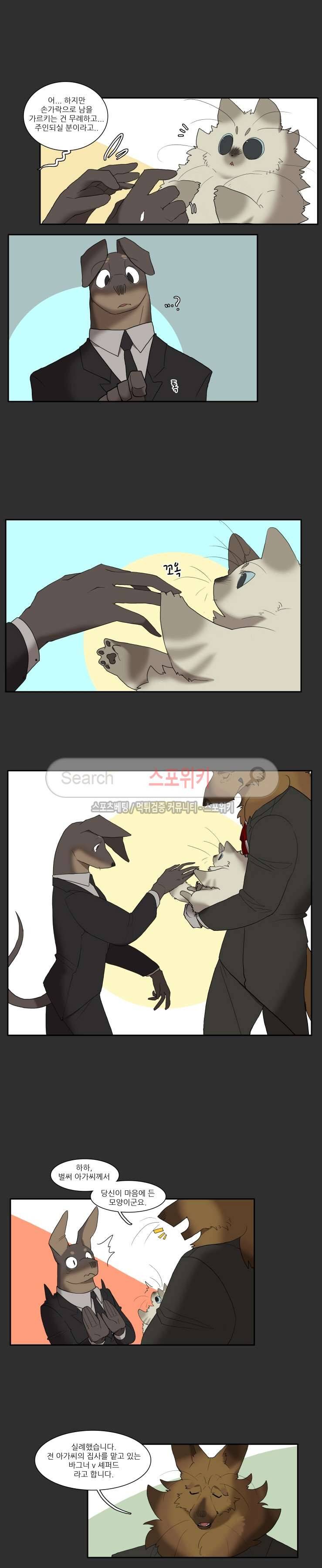 고양이 아가씨와 경호원들 75화 2