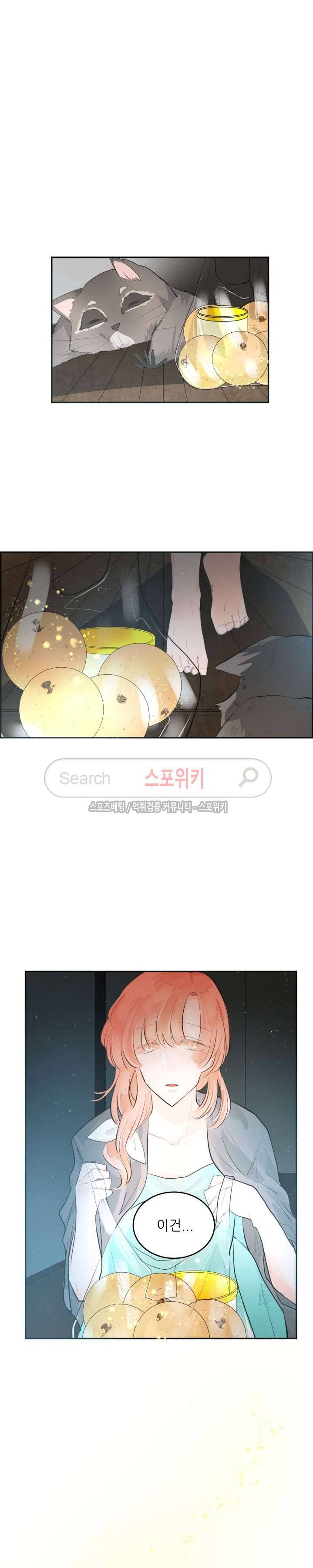 반딧불을 따라서 41화 5