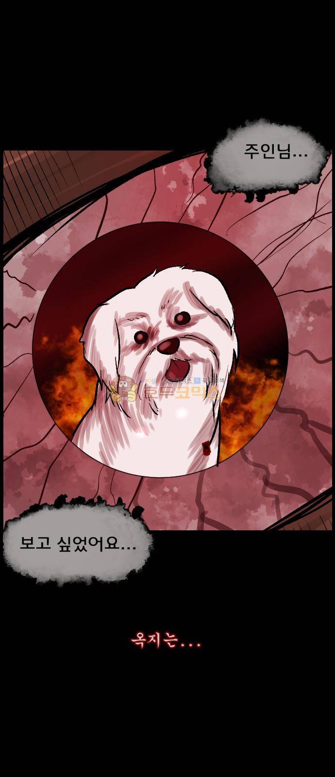 원주민 공포만화(네이버) 71화 - 견(犬)과 함께 73