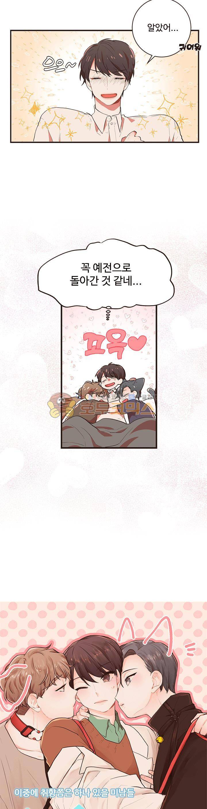 멍멍냥냥 40화 - 이거였어? 2