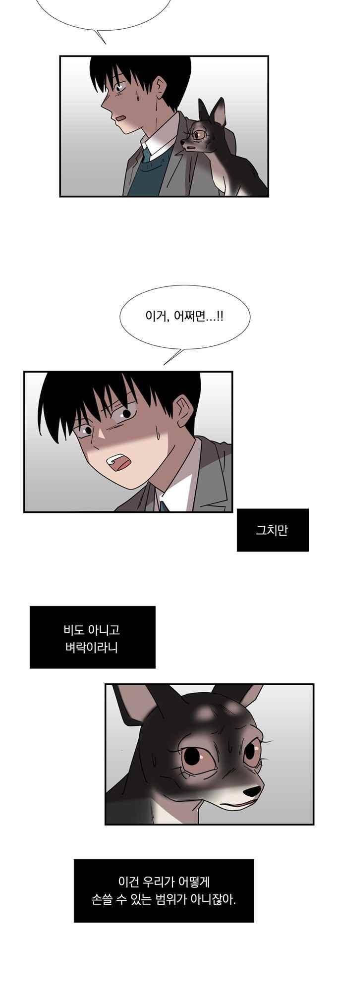 명예소녀의 추락 57화 20