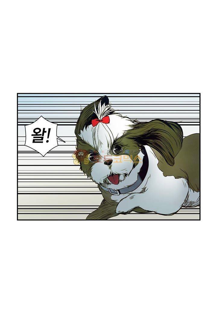 싸움의 기술2 38화 6