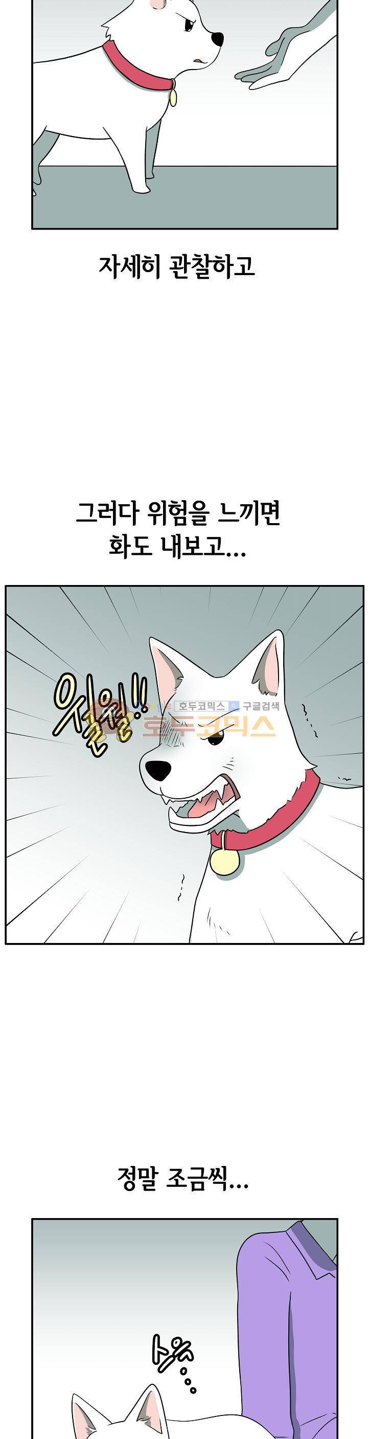 어차피 인간은 다 변태야 146화 - 펫과 오너 (3) 4