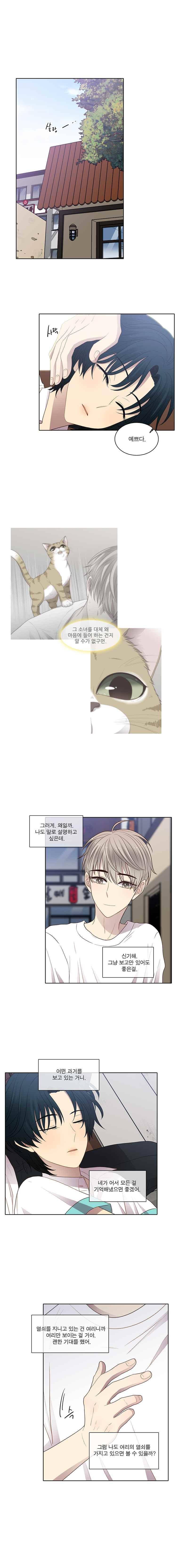 고양이 마마님 43화 2