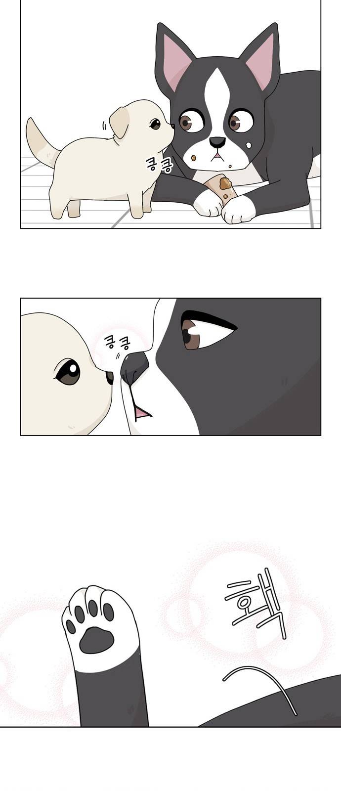개를 낳았다 32화 3