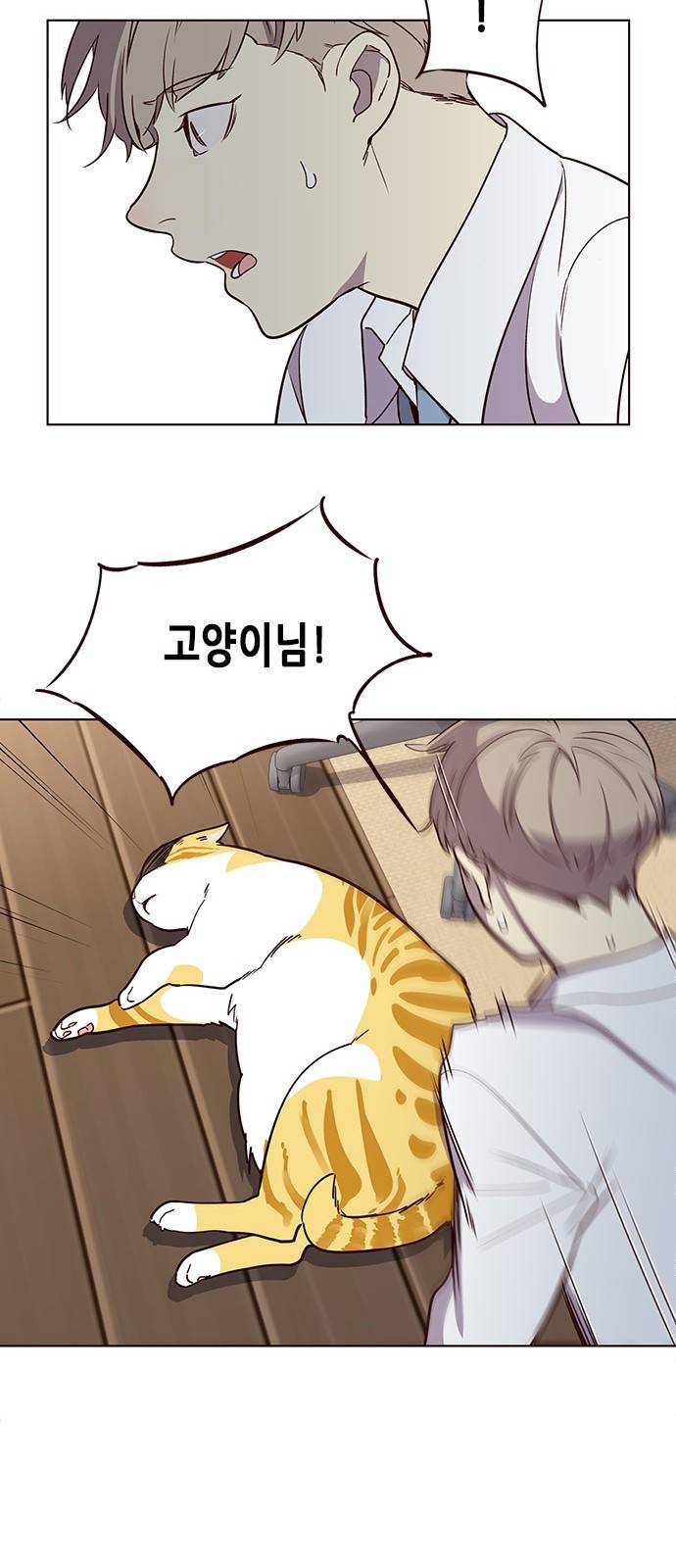 일렉시드 2화 2