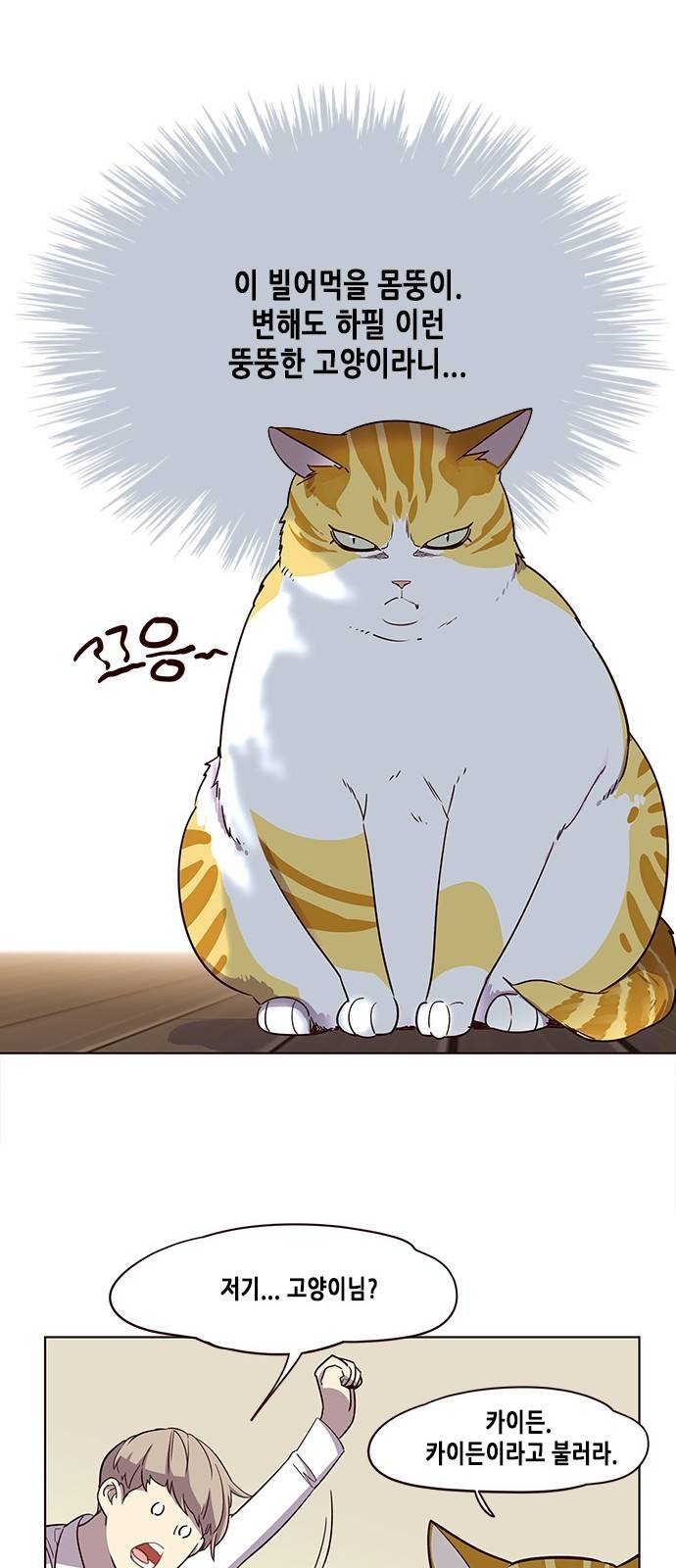 일렉시드 2화 7