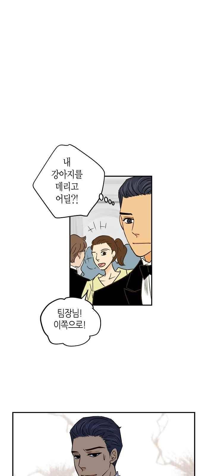 허니허니 웨딩 62화 28