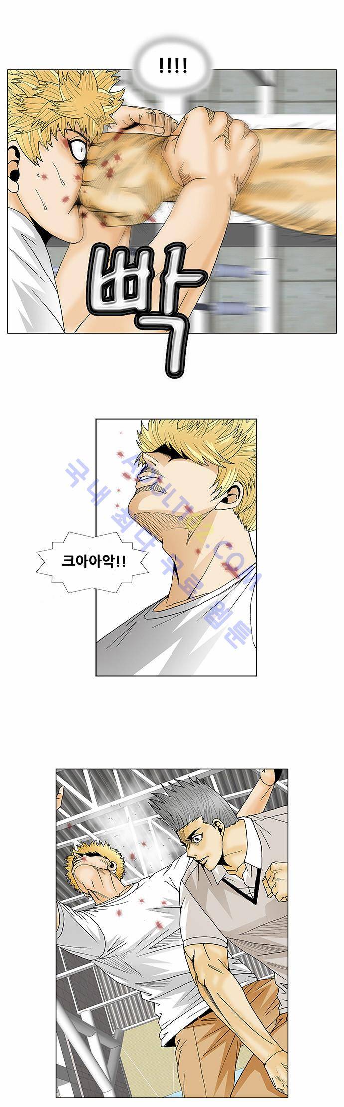 최강전설 강해효 (109) 19