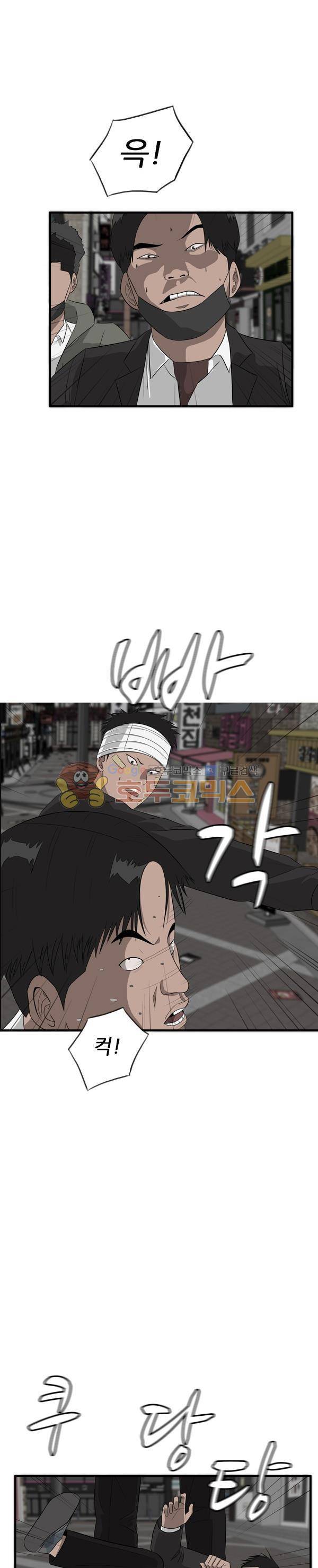 프라이드 33화 5