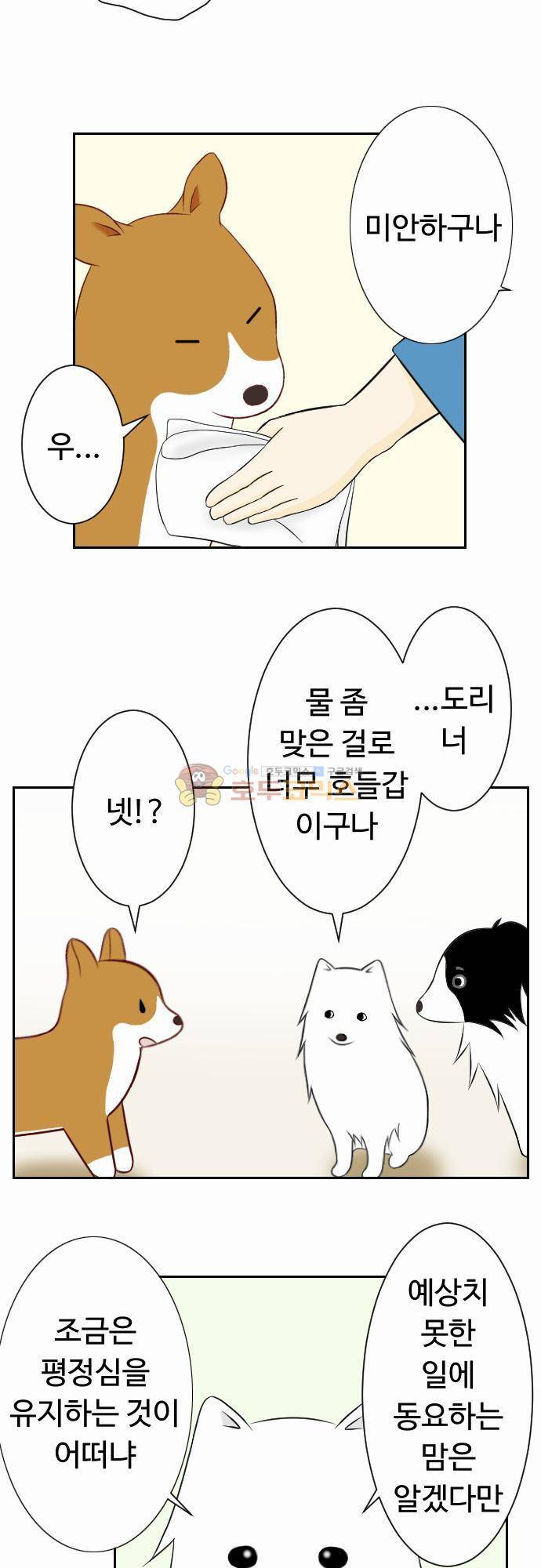 화이트 포메 33화 - 평정심 3