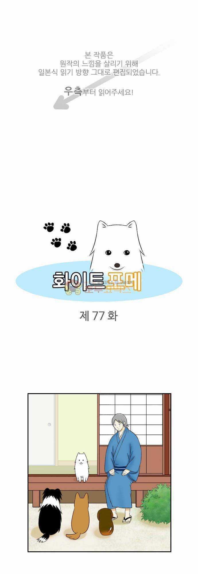 화이트 포메 77화 - 의사 1