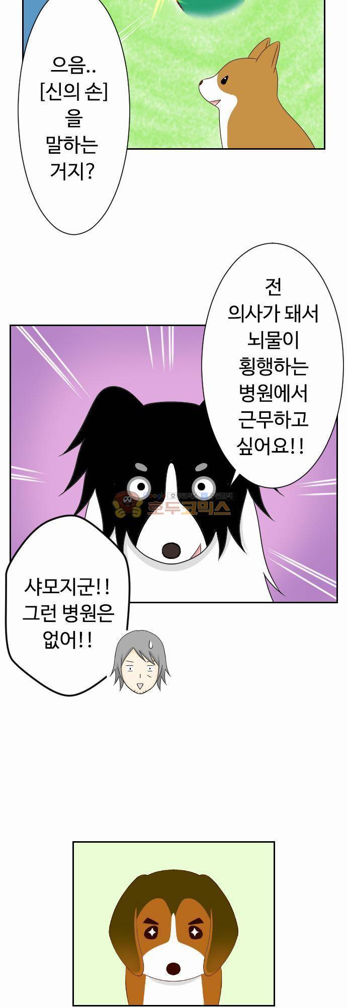 화이트 포메 77화 - 의사 3