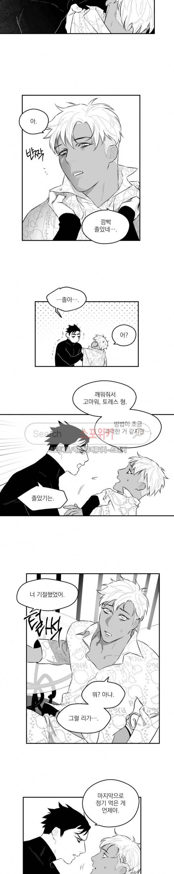 미드나잇메어 38화 2