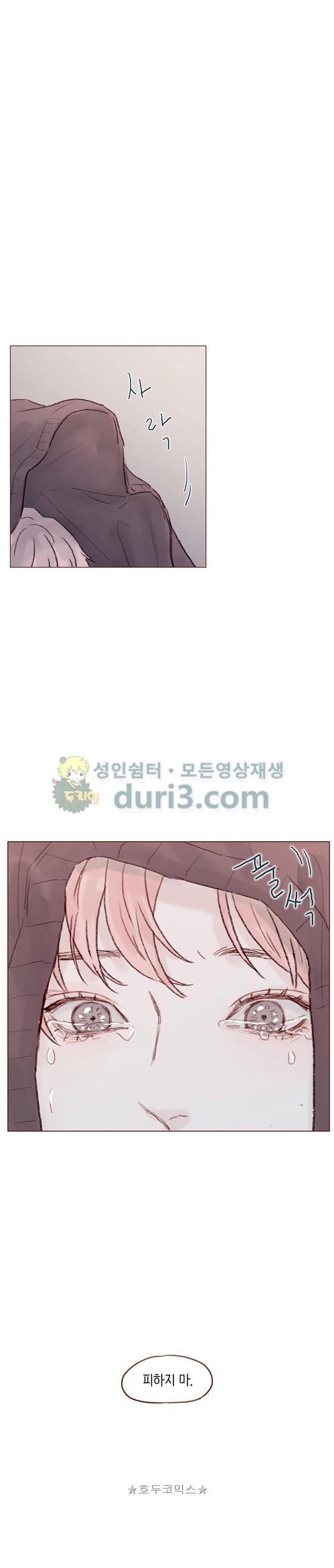 홍시는 날 좋아해! 52화 - 시즌1 epilogue 12