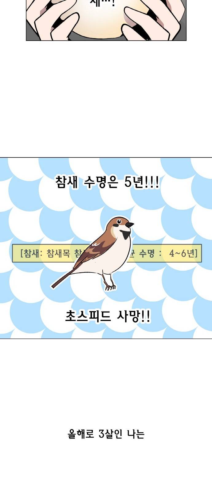 참새는 새!신부 1화 20